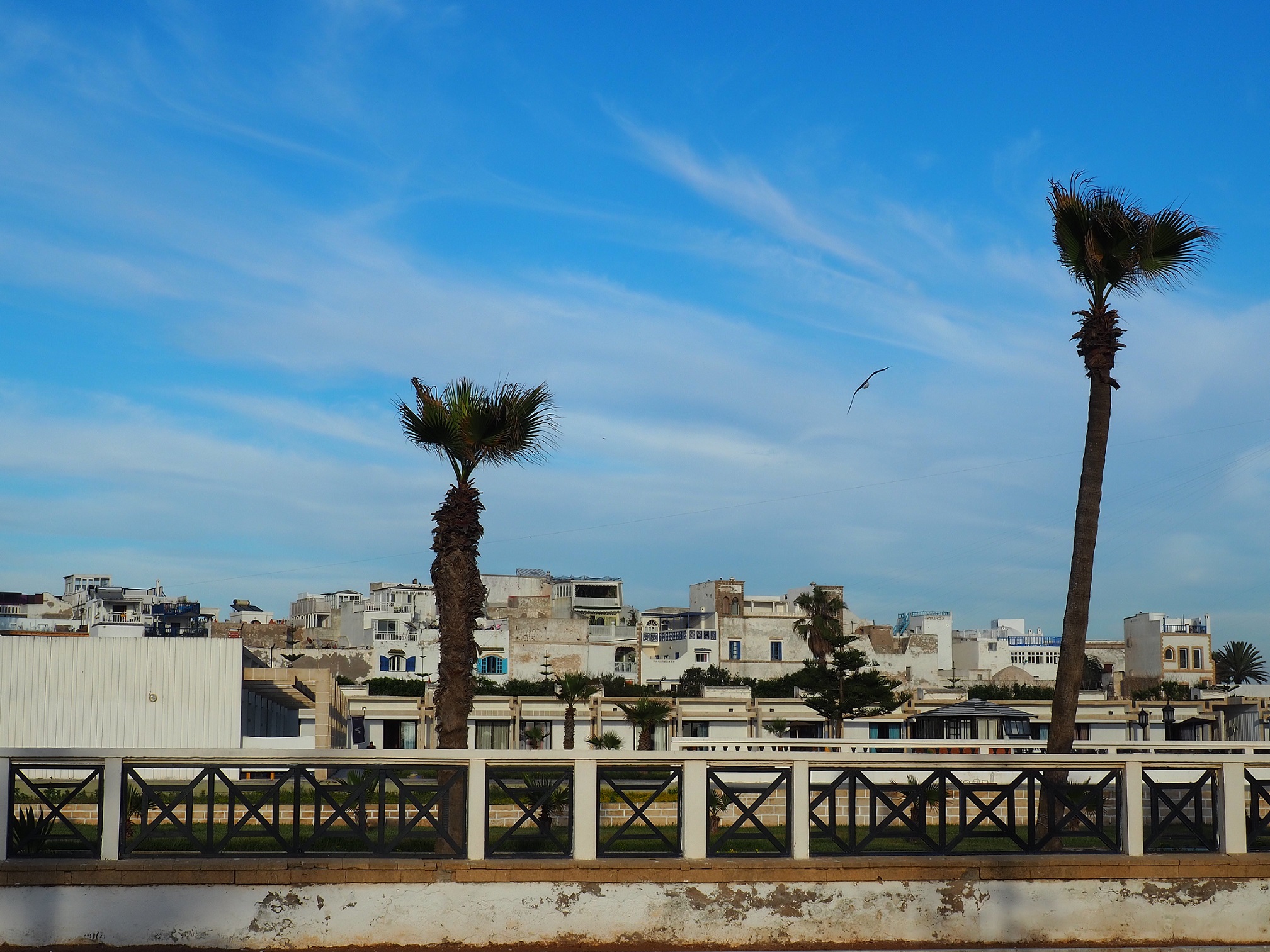 Vue sur Essaouira depuis la plage