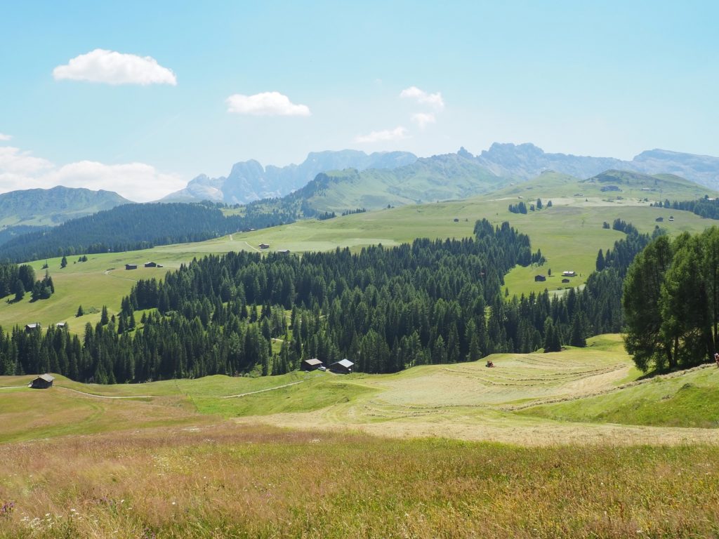 Randonnée à Alpe di Siusi: idée d’itinéraire - Cookie et Attila